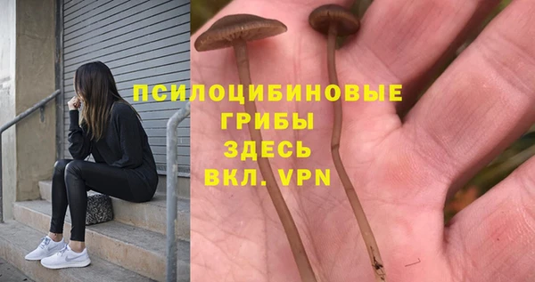 стафф Алексеевка