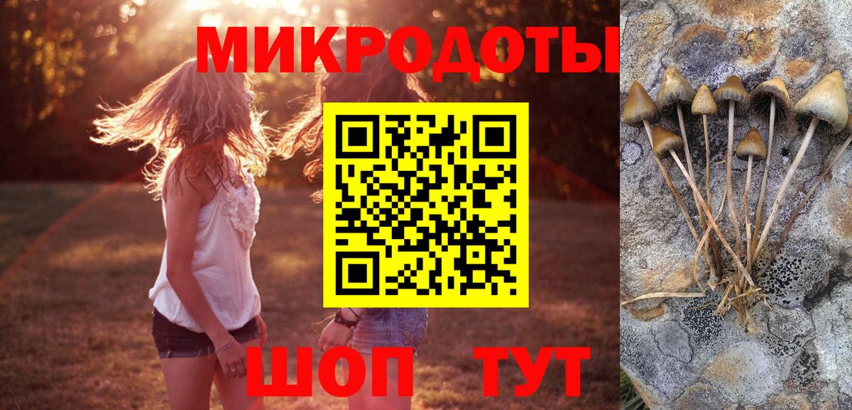 Галлюциногенные грибы Cubensis  Вход с VPN  Псилоцибиновые грибы GOLDEN TEACHER  Урай 